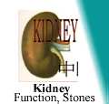 chinese medicines herbals kidney