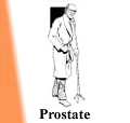 chinese medicines herbals prostate